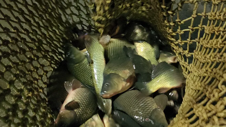 Фото: Юлия Андросова