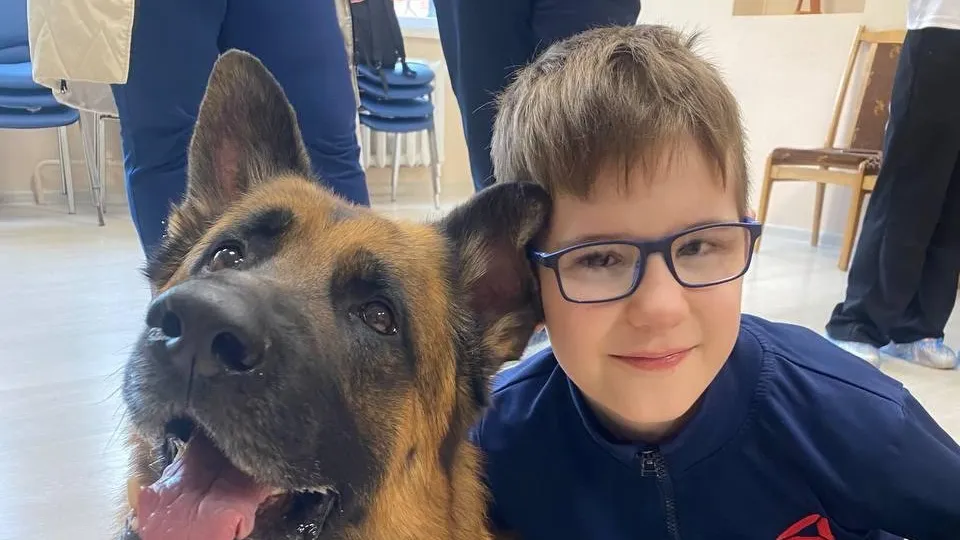 Фото: t.me/volokolamskiigo