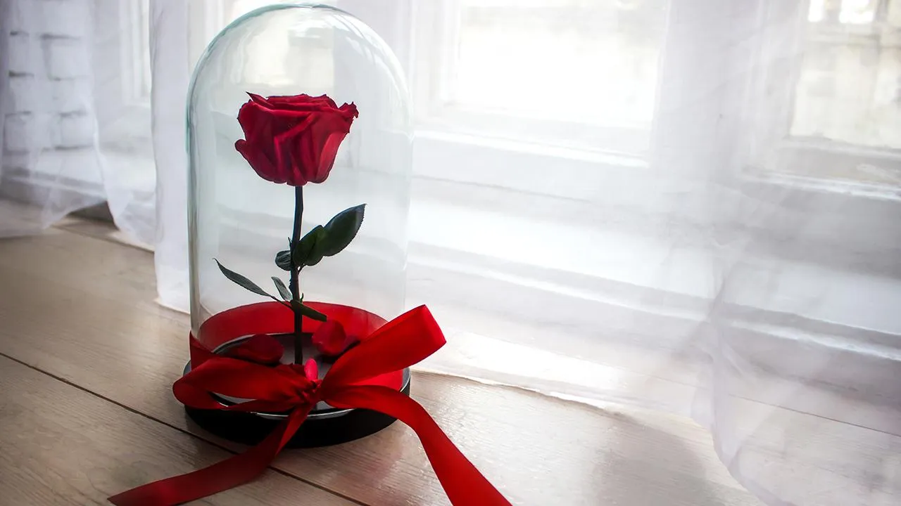 istockphoto.com/Yauheni Rak