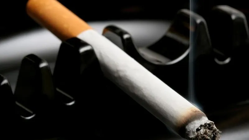 Куривший в самолете дебошир предстанет перед судом в Домодедово