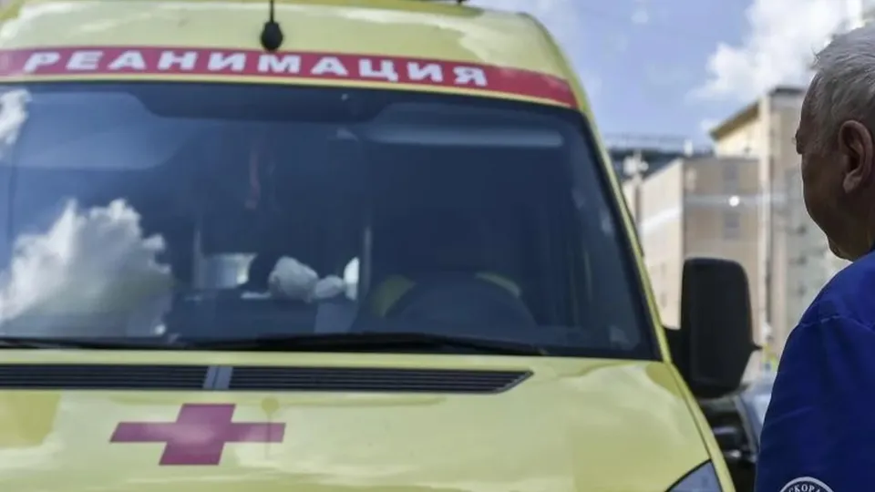 Фото: Медиаархив Подмосковья/Николай Корешков