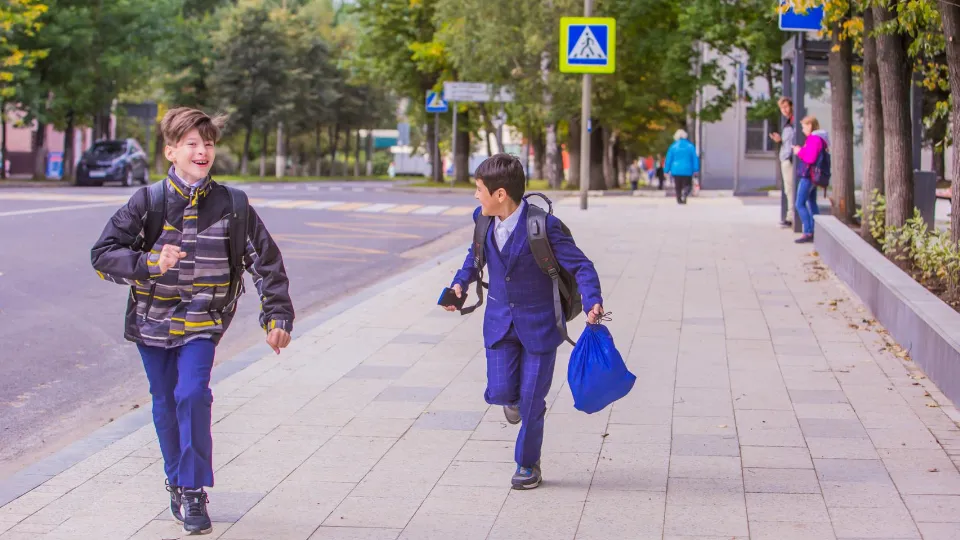 Фото: Министерство благоустройства Московской области