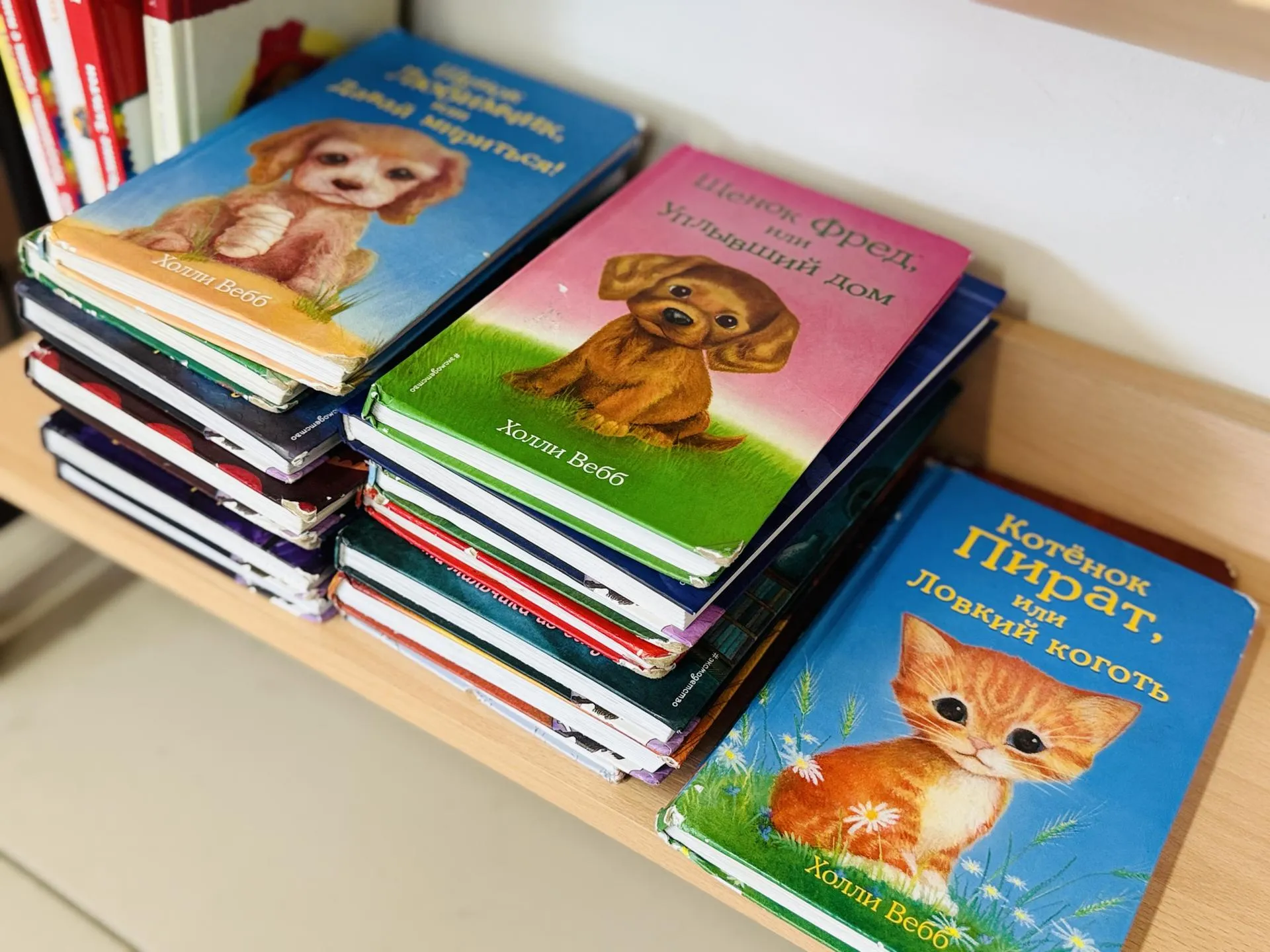 Фото: МедиаБанк Подмосковья/Ольга Стаферова