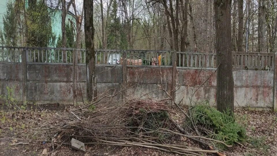 Фото: vk.com/Подслушано в Пущино