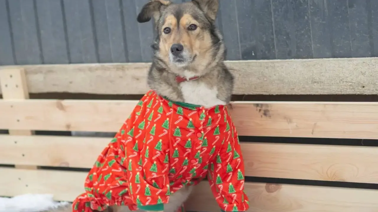 Фото: личный архив Виктории Персиковой