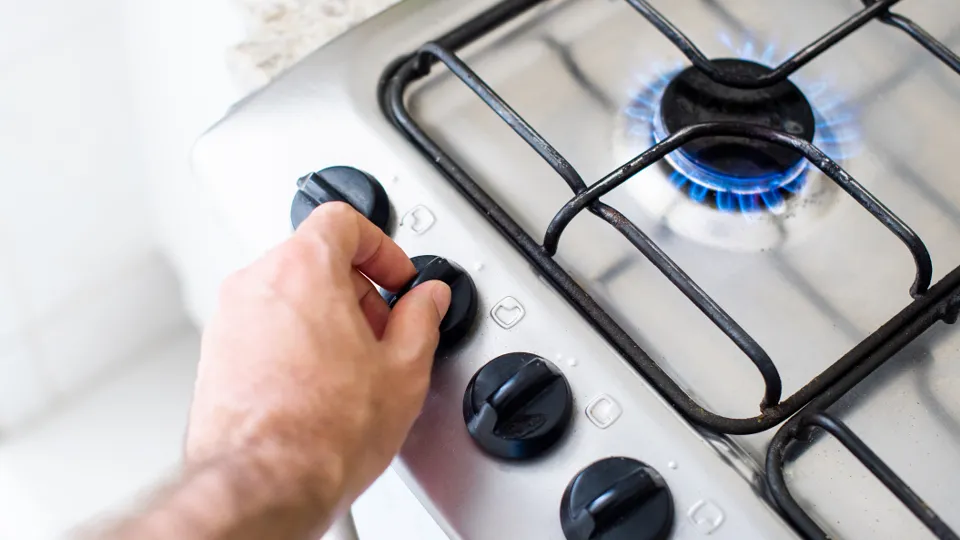 Фото: istockphoto.com/Lucas Ninno