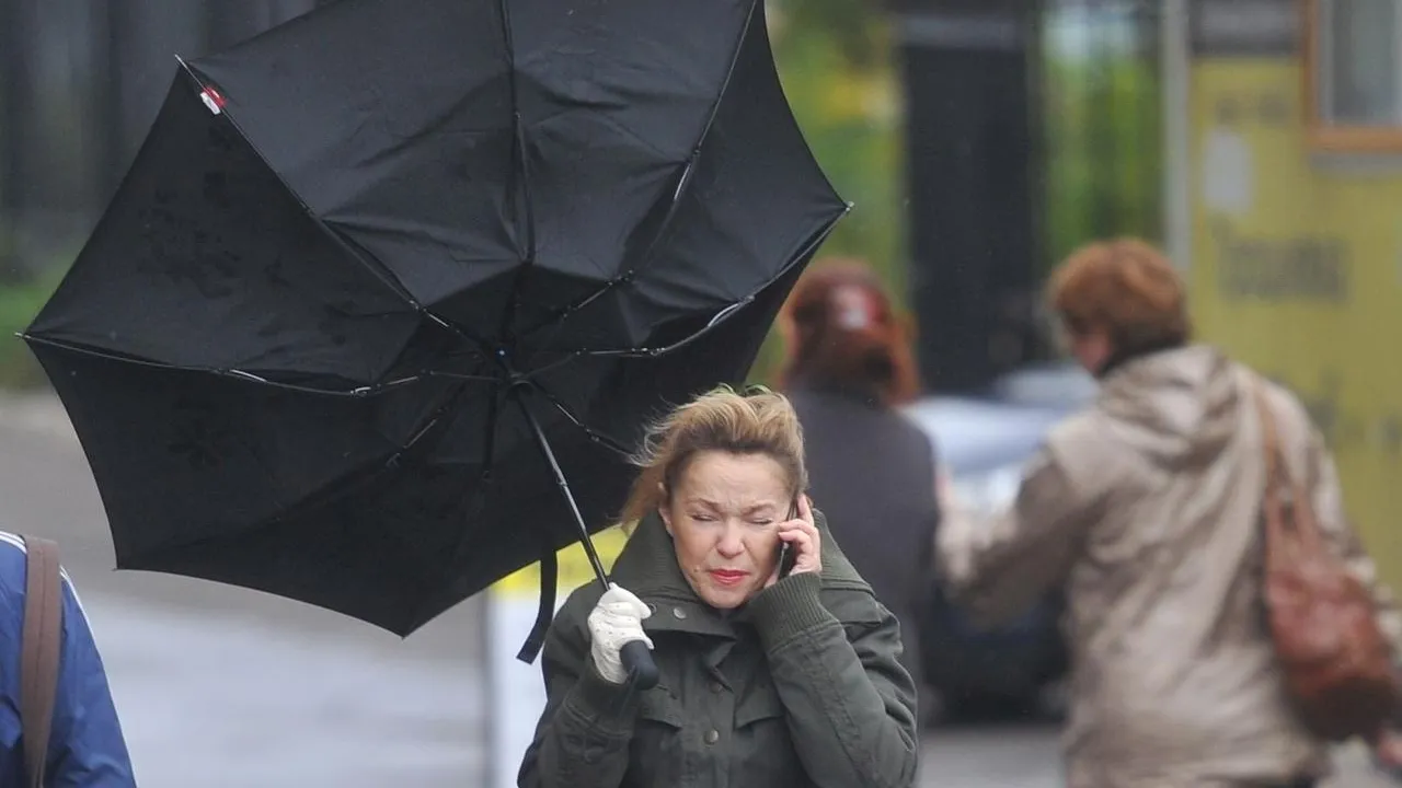 Фото: Соцсети