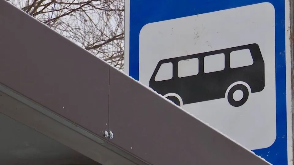 Фото: МедиаБанк Подмосковья/Данила Кирьянов