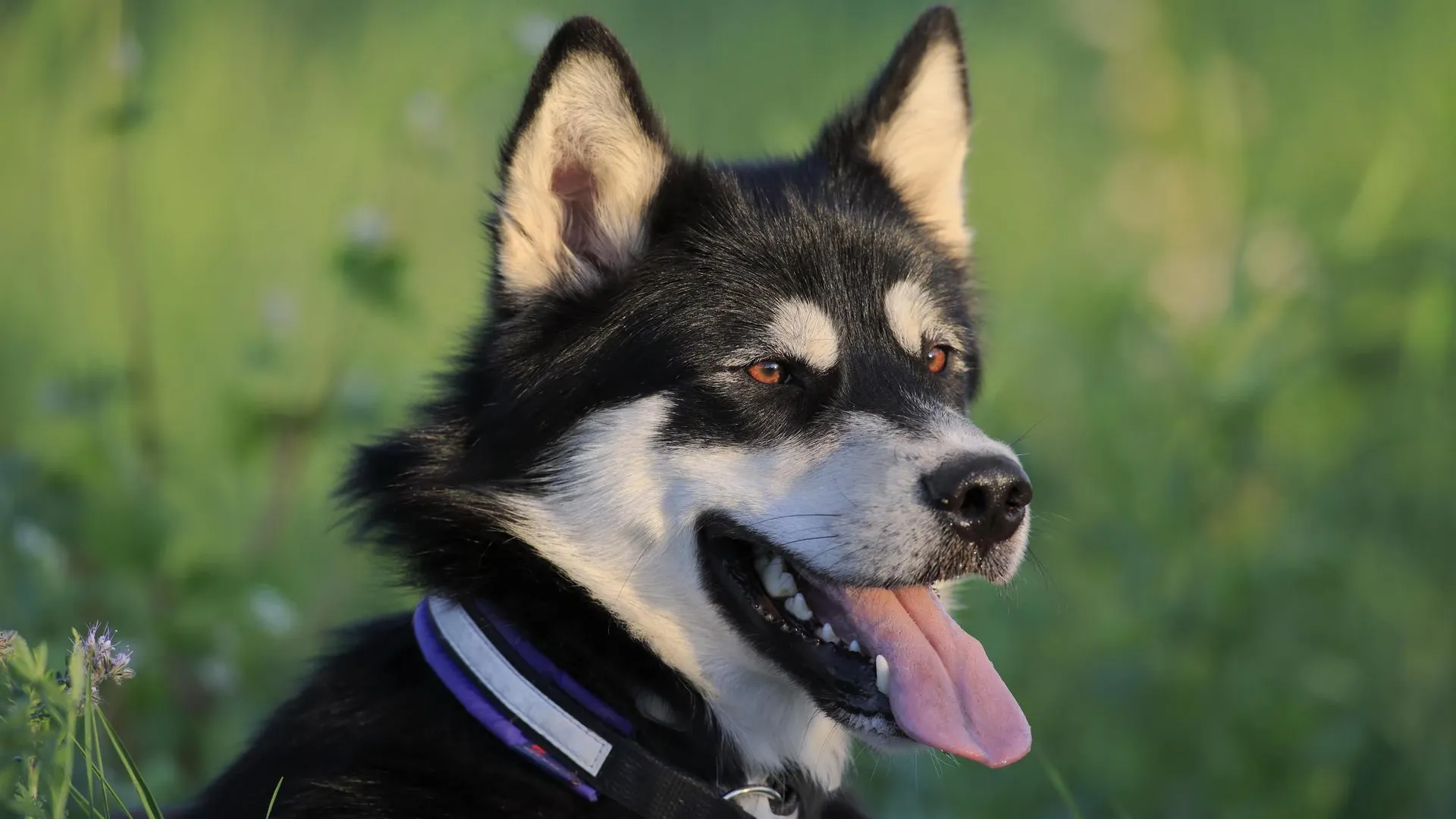 Sascha Rueff/http://imagebroker.com/#/search/