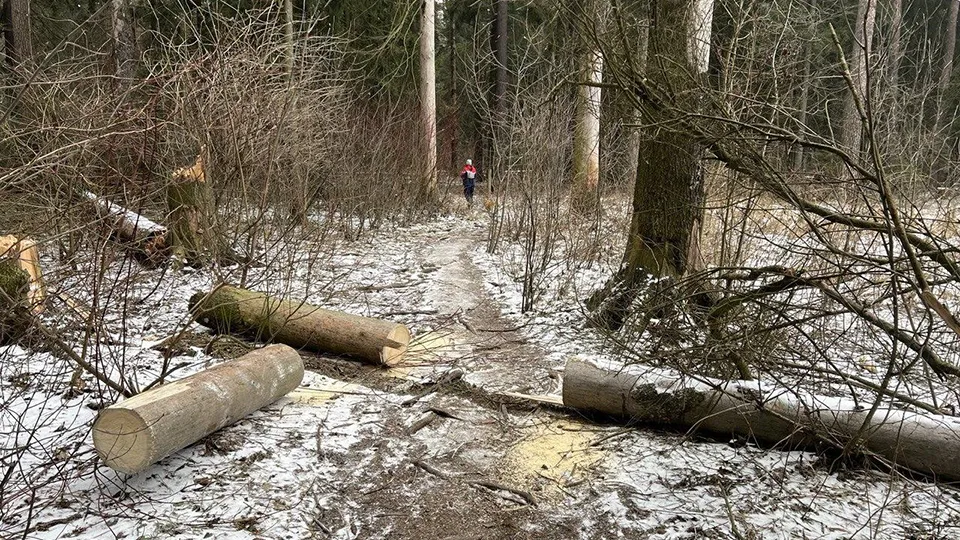 Фото: Комлесхоз МО