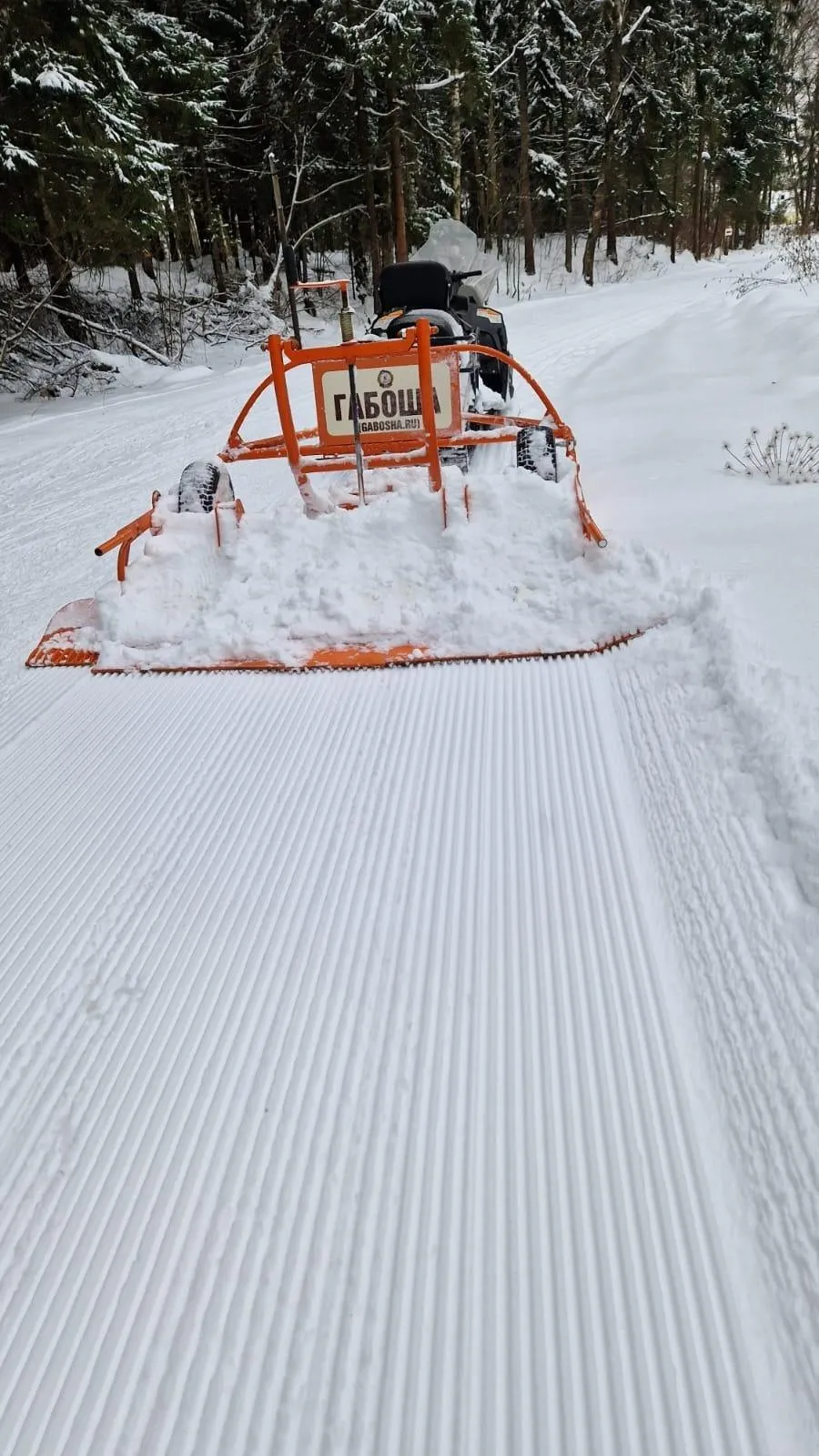 Фото https://vk.com/sokgabo