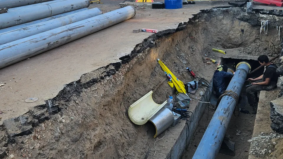 Фото: МедиаБанк Подмосковья/Ольга Вельшикаева