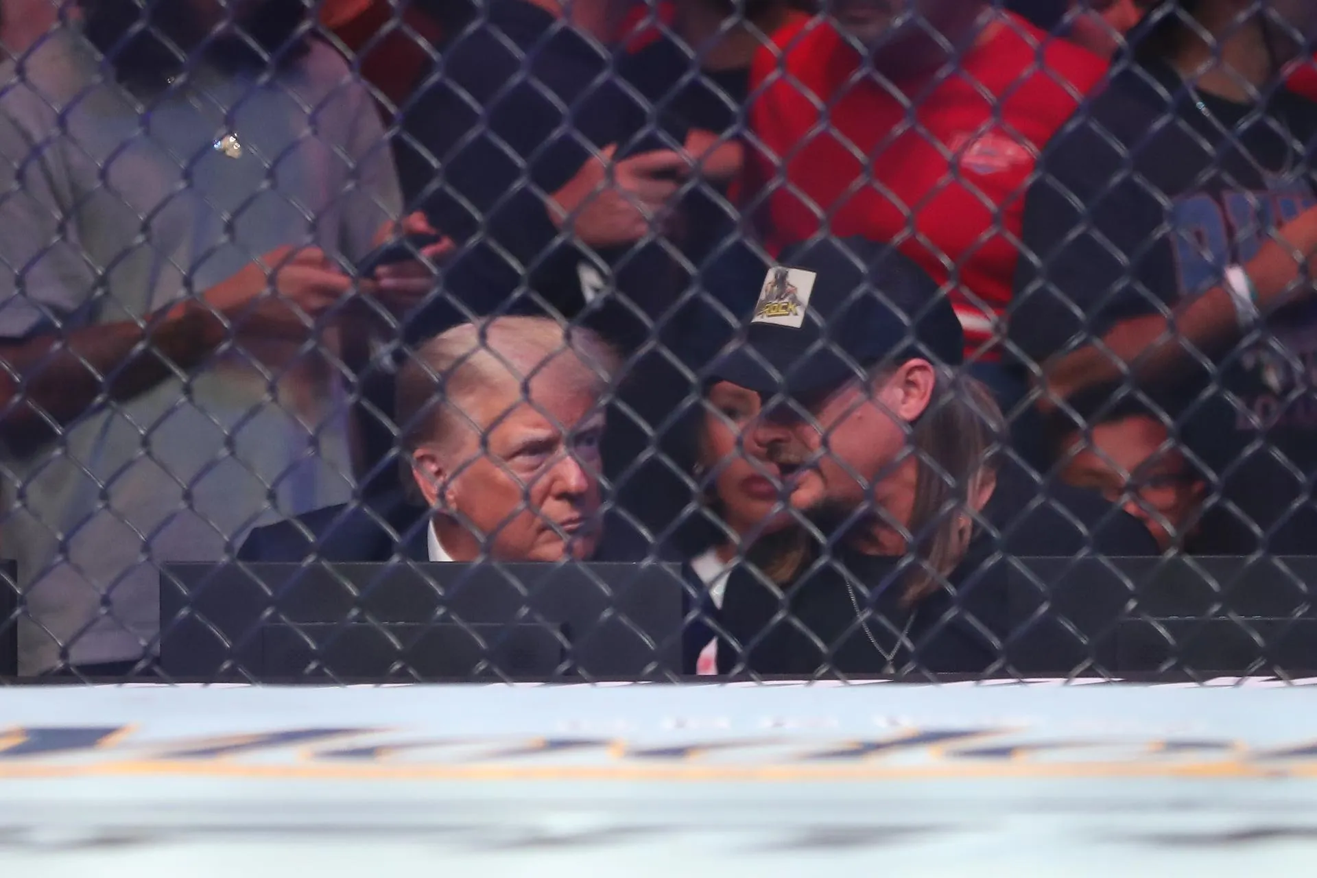 Трамп на турнире UFC. Alejandro Salazar/Keystone Press Agency