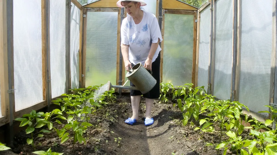 Фото: ТАСС/Александр Алпаткин