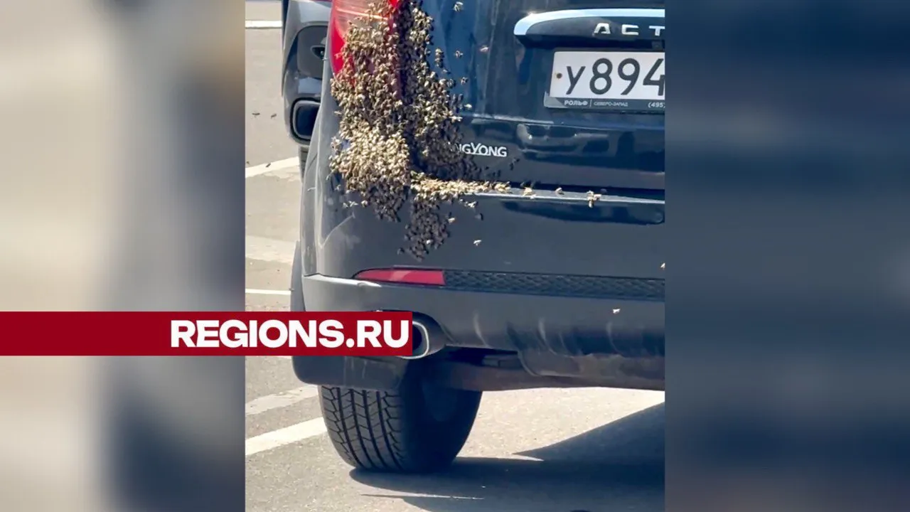 Фото: t.me/new_izmailovo