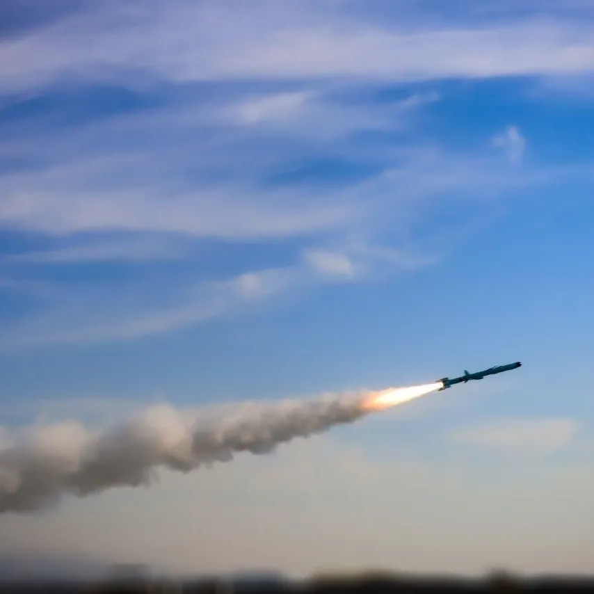 Sepahnews/Keystone Press Agency/Global Look Press