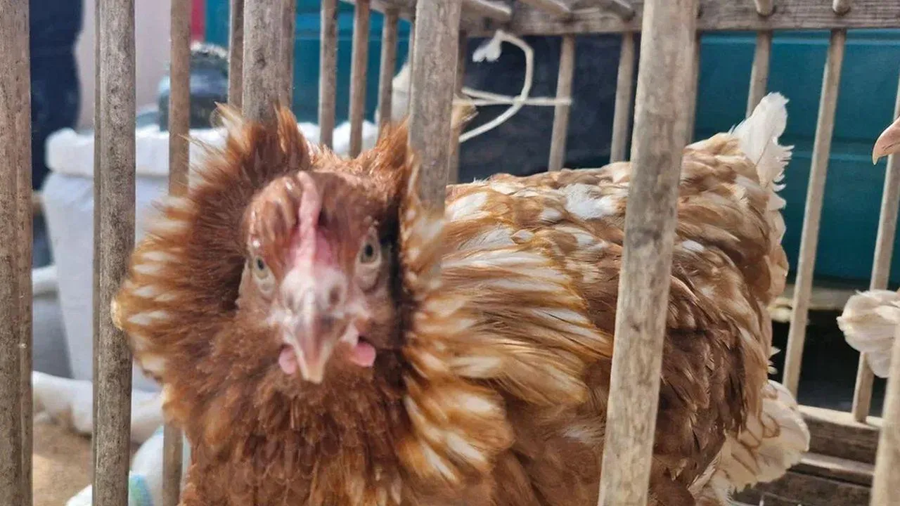 REGIONS/Наталья Надточая