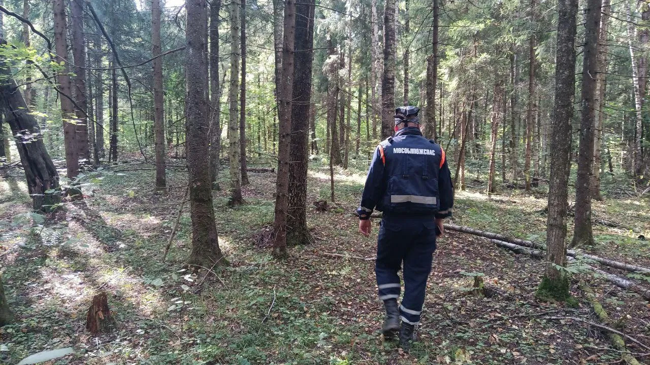 Фото: ГКУ МО «Мособлпожспас»