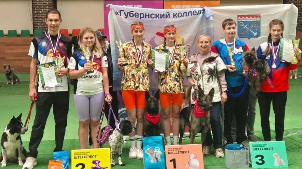 Губернский колледж