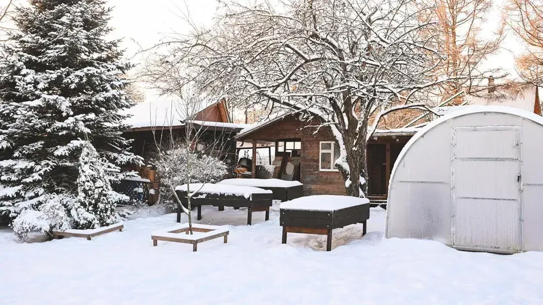 istockphoto.com/elenaleonova