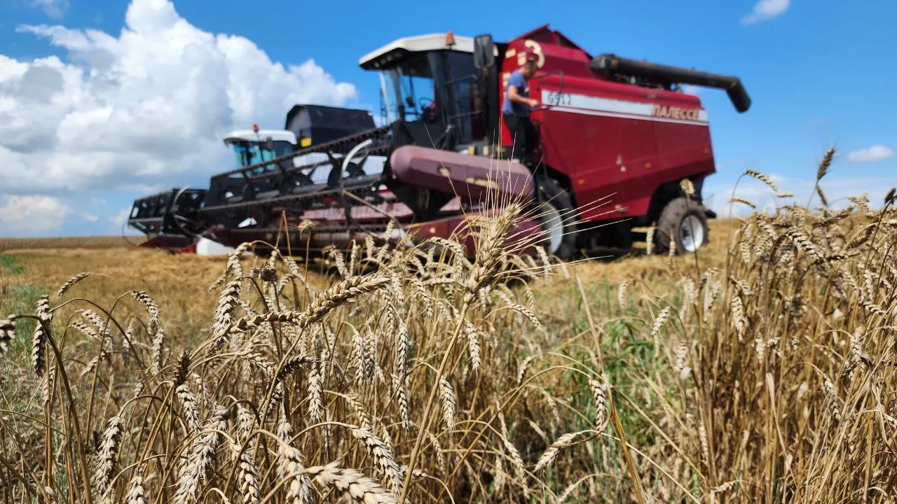 Фото: Ирина Матвеева