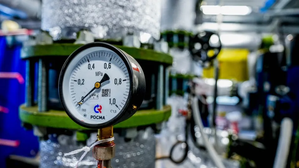 Фото: пресс-служба губернатора и правительства Московской области/Александра Степанова