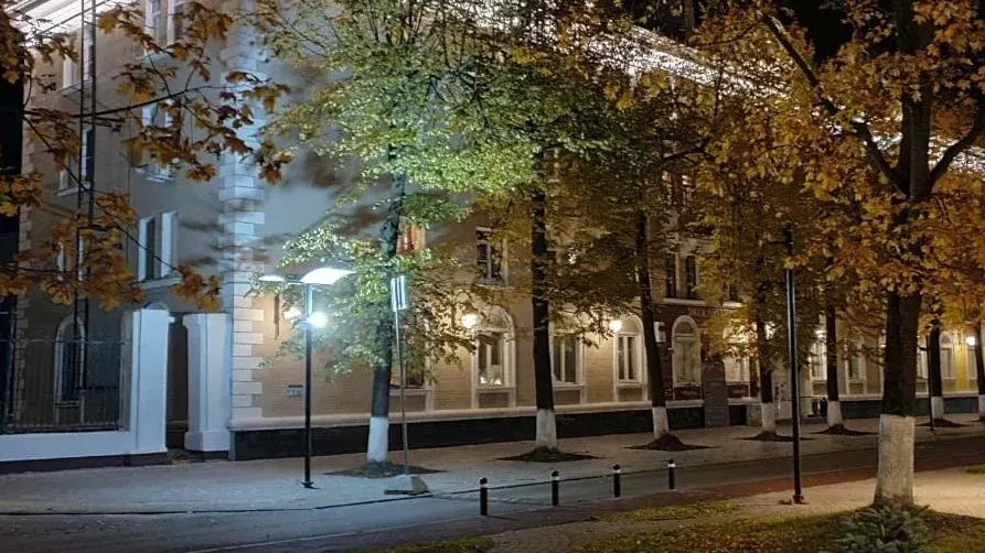 Фото: Министерство благоустройства Московской области