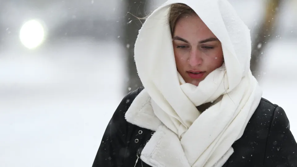 Фото: РИА Новости/Владимир Астапкович