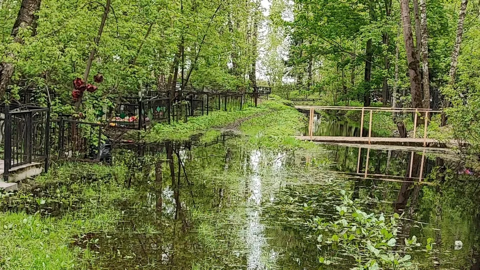 Фото: vk.com/Раменское