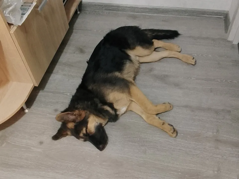 Фото: личный архив Сергея Антипова