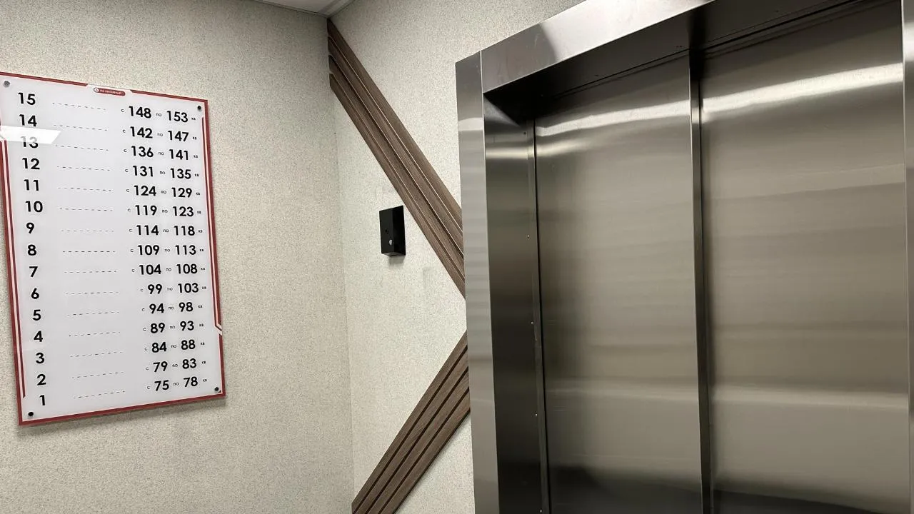 REGIONS/Мария Шигорева