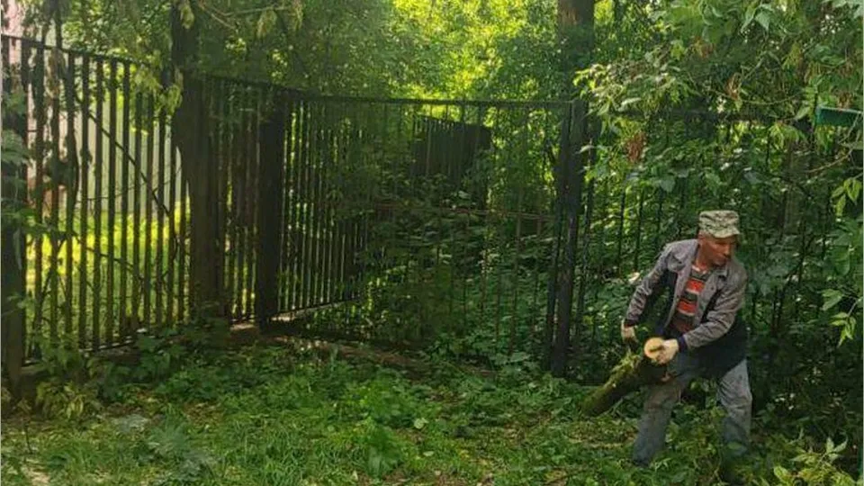 Фото: пресс-служба администрации городского округа Истра