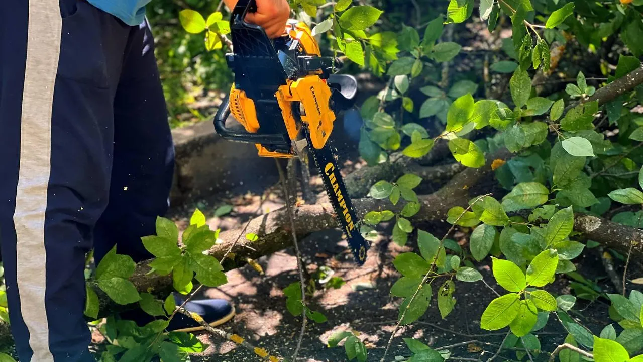 Фото: администрация г.о. Подольск