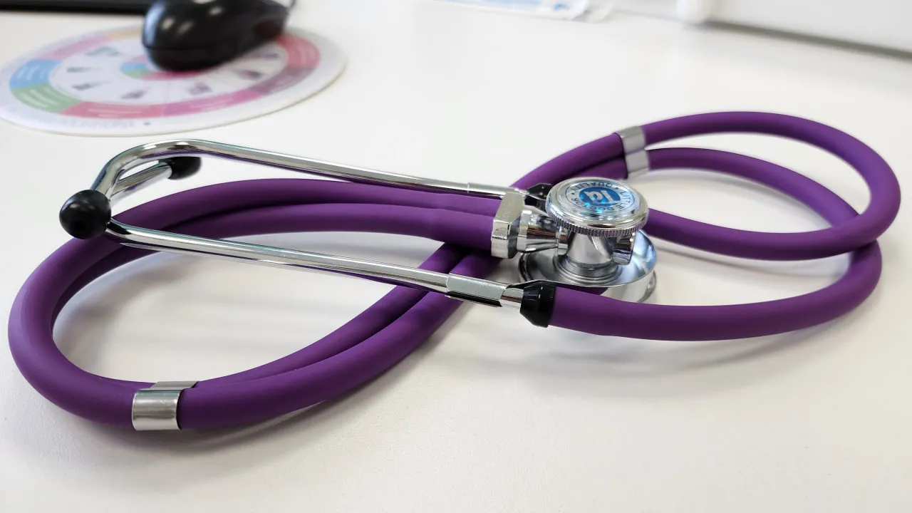 Фото: МедиаБанк Подмосковья/Ольга Аввакумова