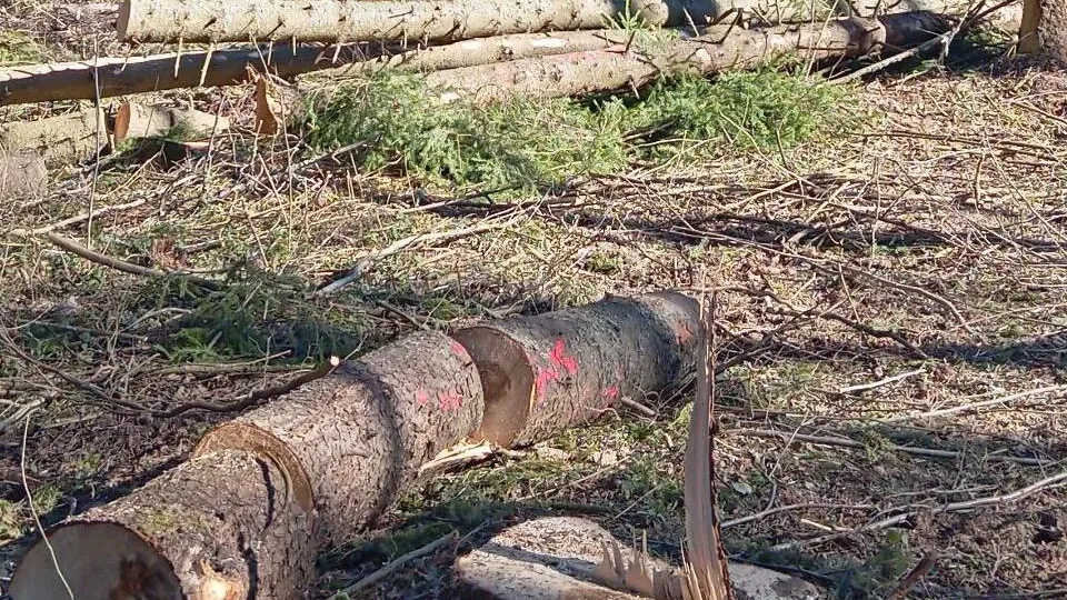 Фото: Татьяна Рунова