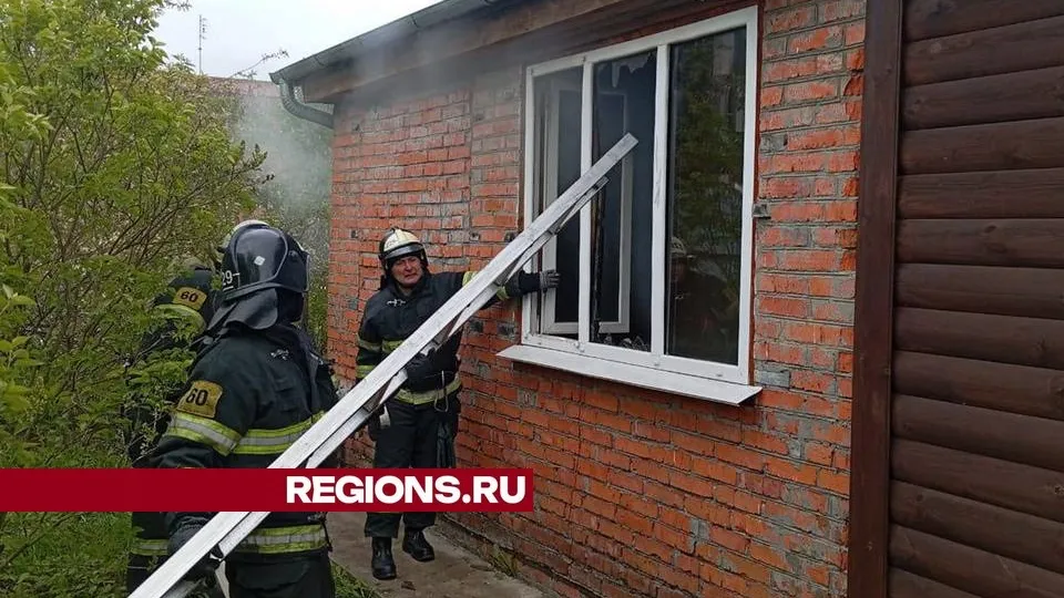 Фото: пресс-служба администрации городского округа Луховицы