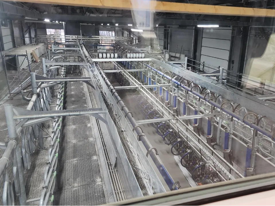 Фото: МедиаБанк Подмосковья/Анастасия Сараева