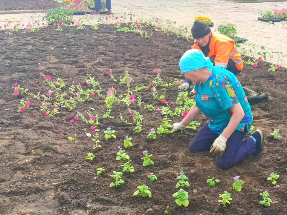 Фото: пресс-служба администрации Рузского городского округа