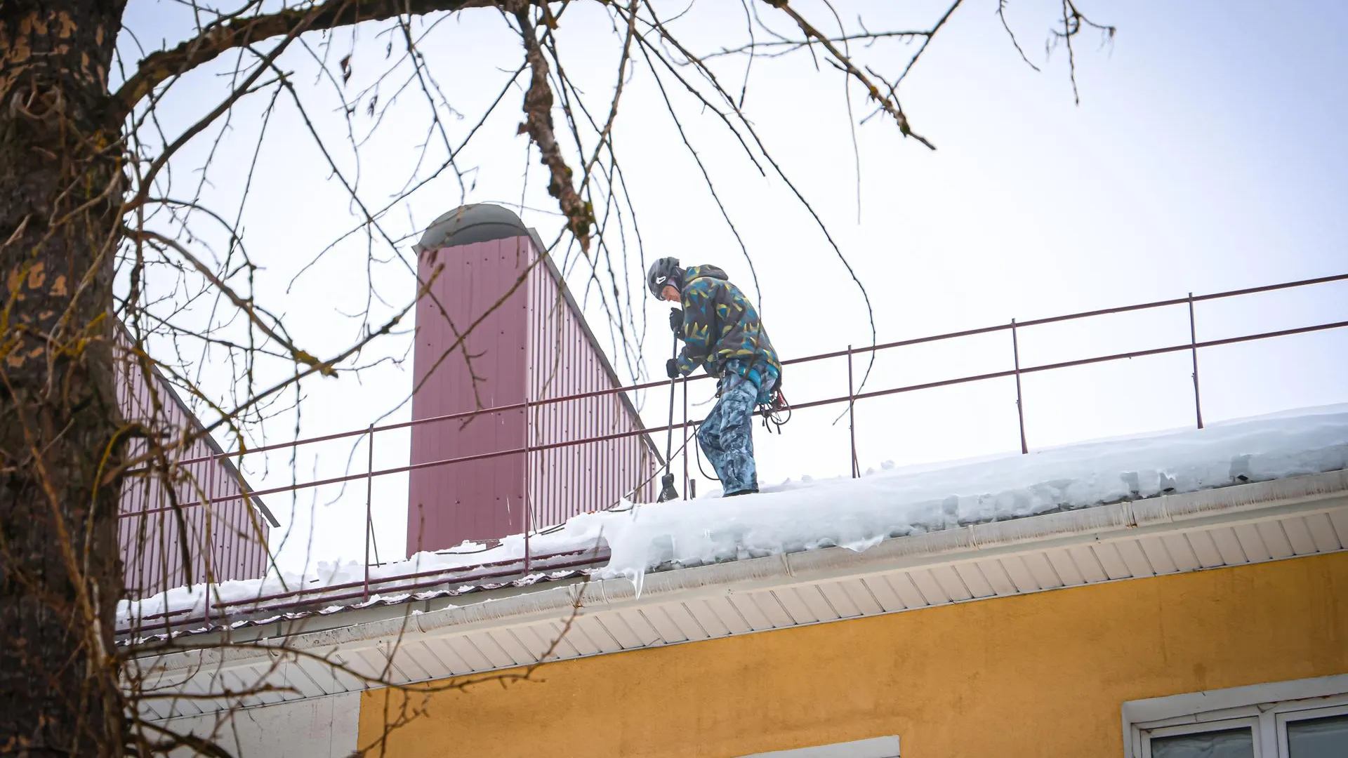 МедиаБанк Подмосковья/Данила Кирьянов