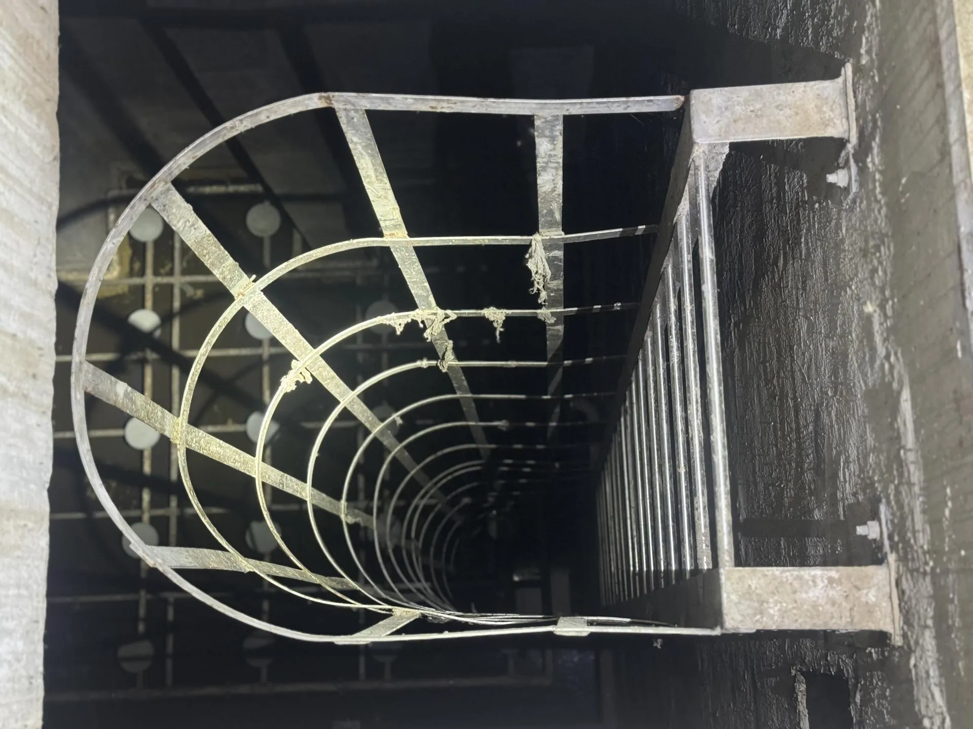 Полина Абраменко