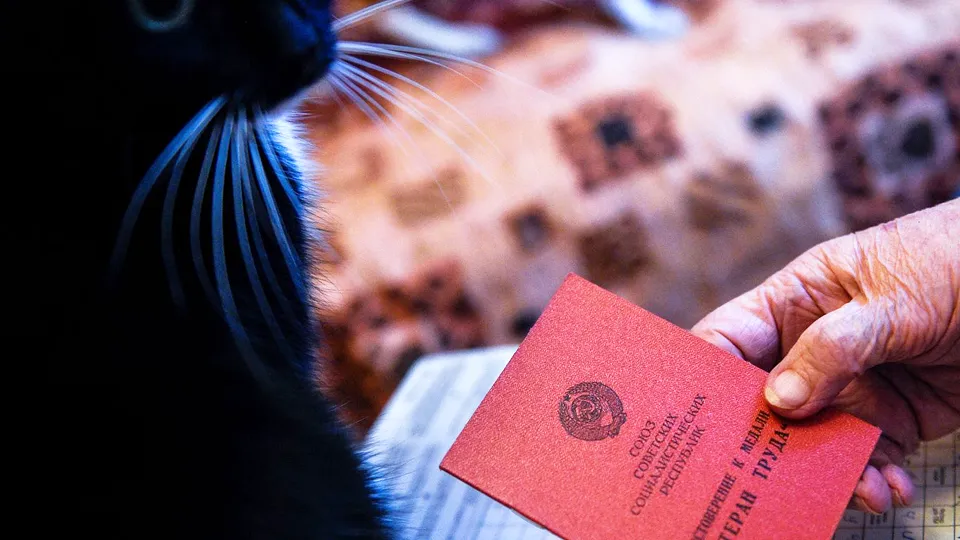 Фото: медиасток.рф