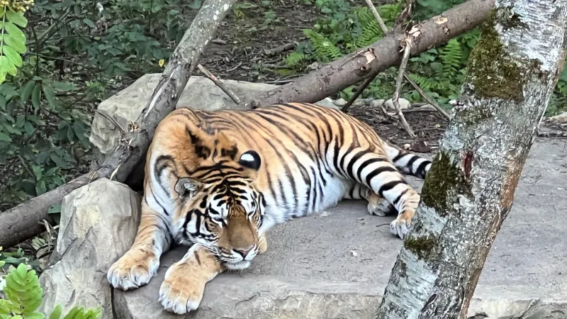 Фото: REGIONS/Татьяна Кордюкова