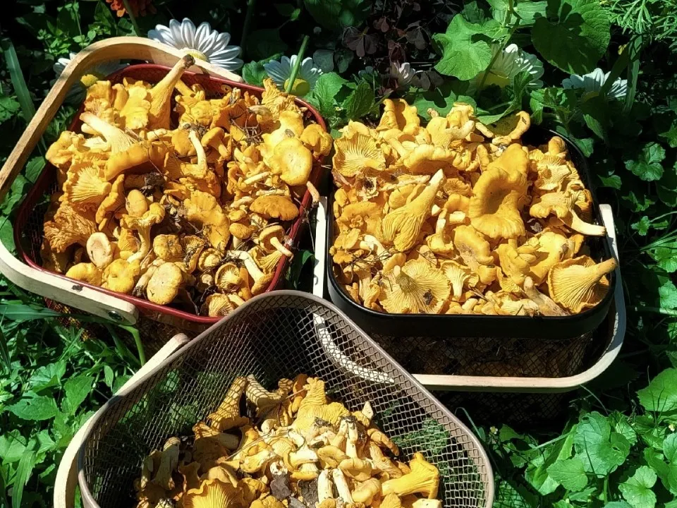 Фото: Василий Потапов