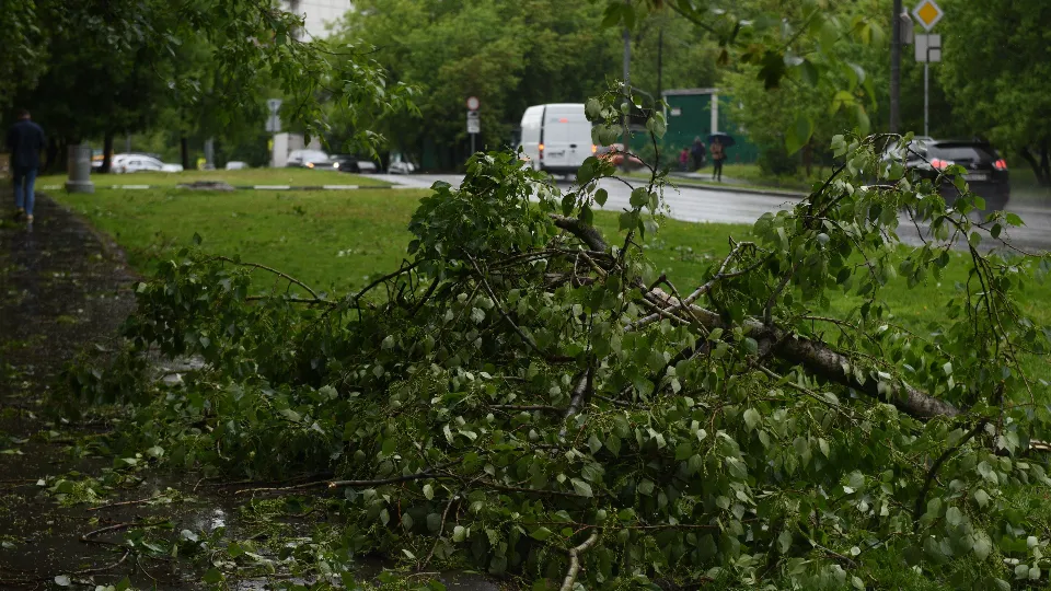 Фото: медиасток.рф
