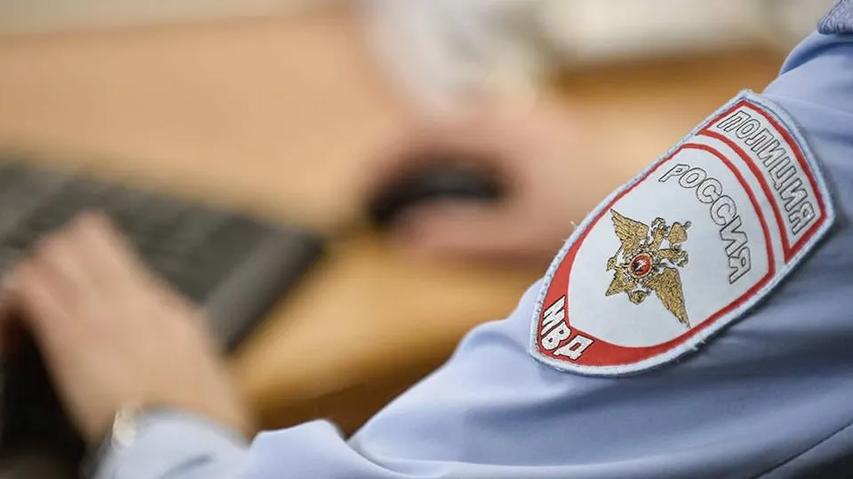 Фото: Медиаархив Подмосковья