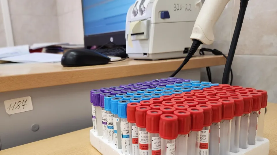 Фото: Дмитрий Алексеенко