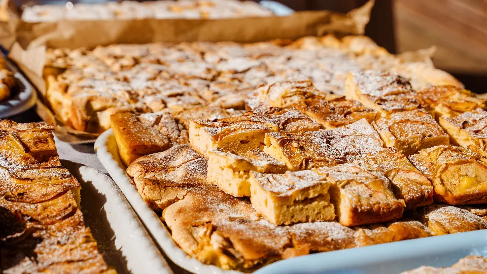 Фото: МедиаБанк Подмосковья/Дарья Погорельцева
