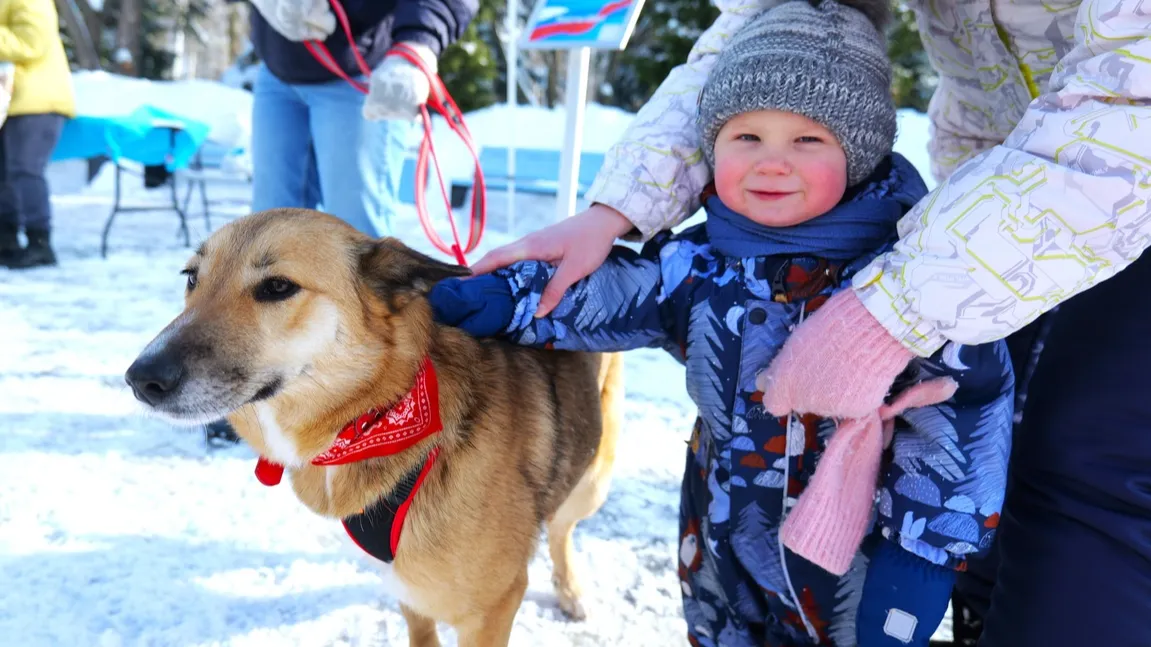 Соцсети администрации г.о. Мытищи