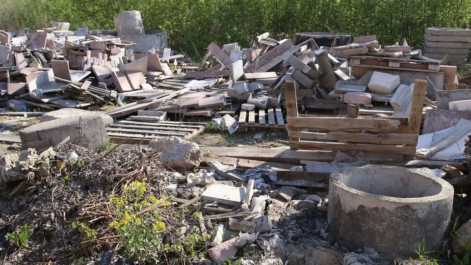 Фото: пресс-служба Администрации г.о. Химки