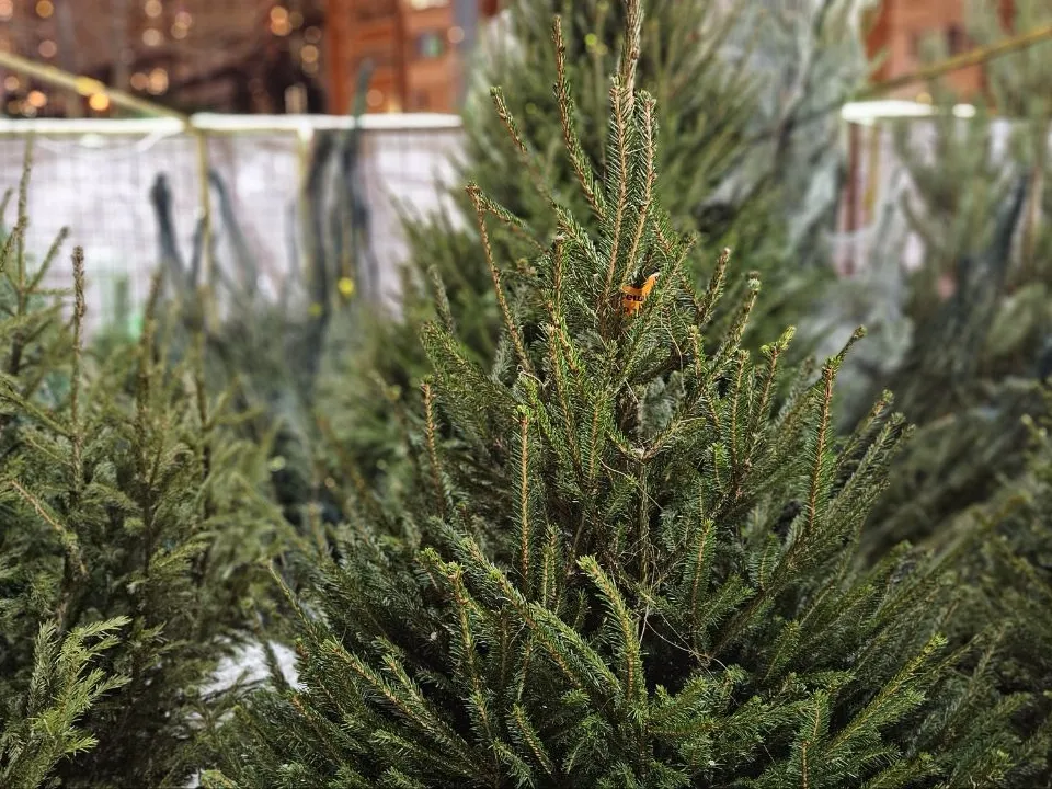 Фото:&nbsp;пресс-служба Министерства по содержанию территорий и государственному жилищному надзору Московской области